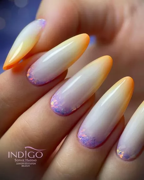 ombre-long-nails-23_11-3 Ombre unghii lungi